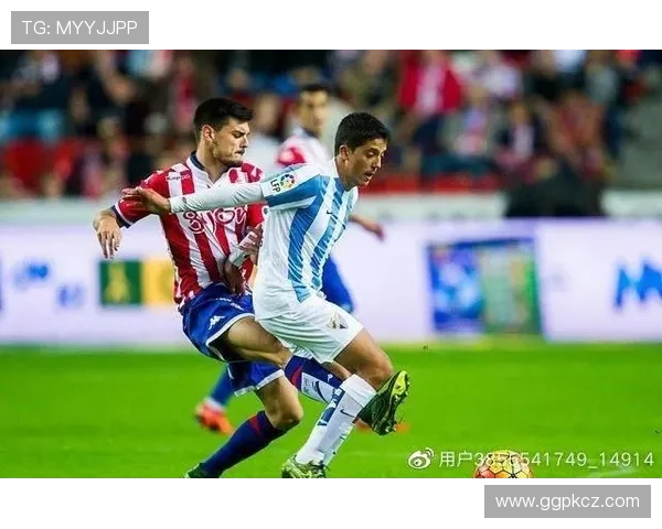 用户在开云足球官网上的真实评价和使用体验分析